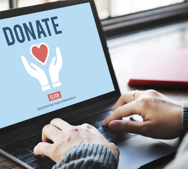 Vetting Charitable Organizations